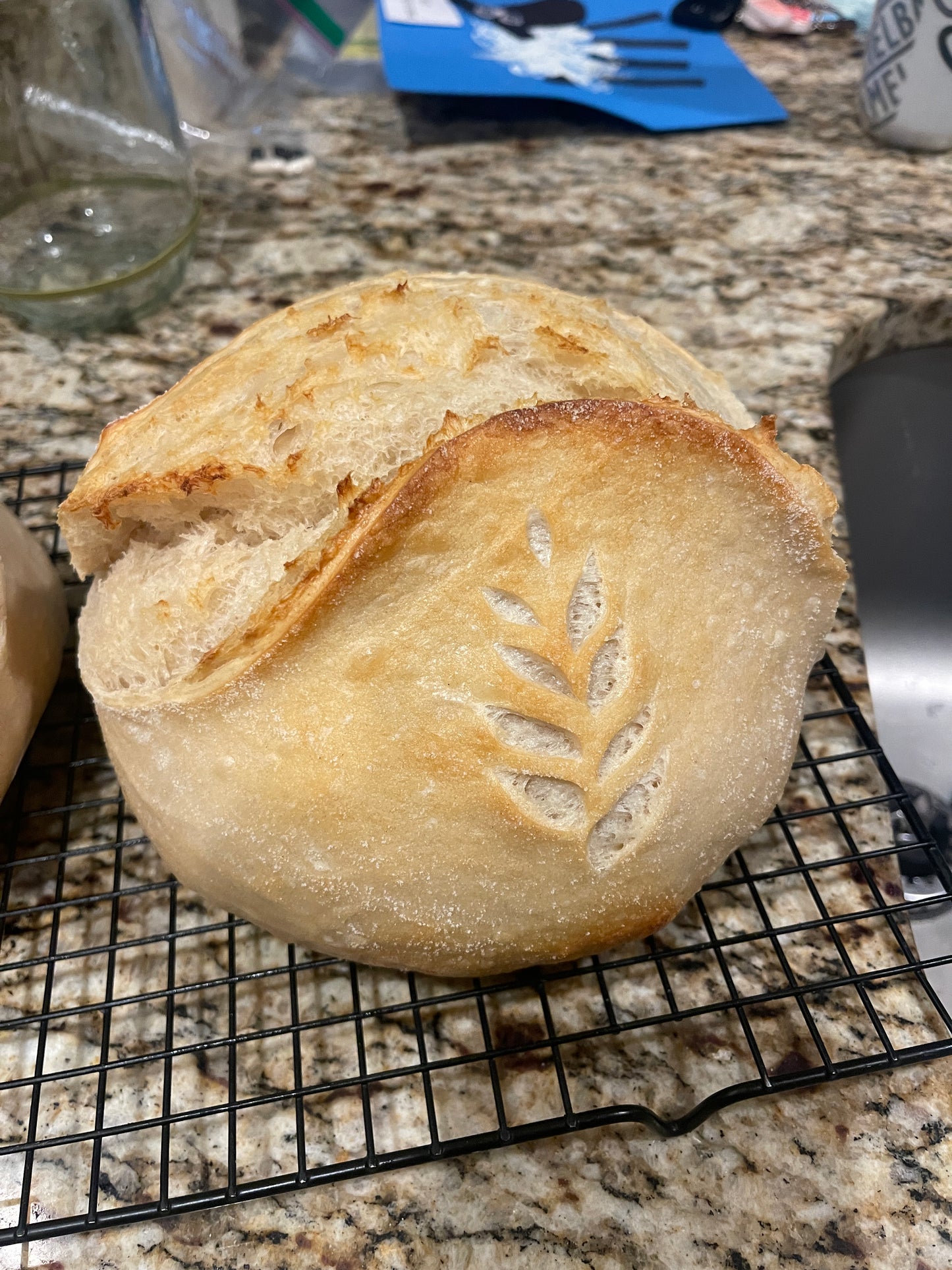 The Daily Sourdough Bread