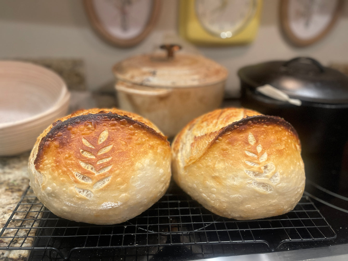 The Daily Sourdough Bread
