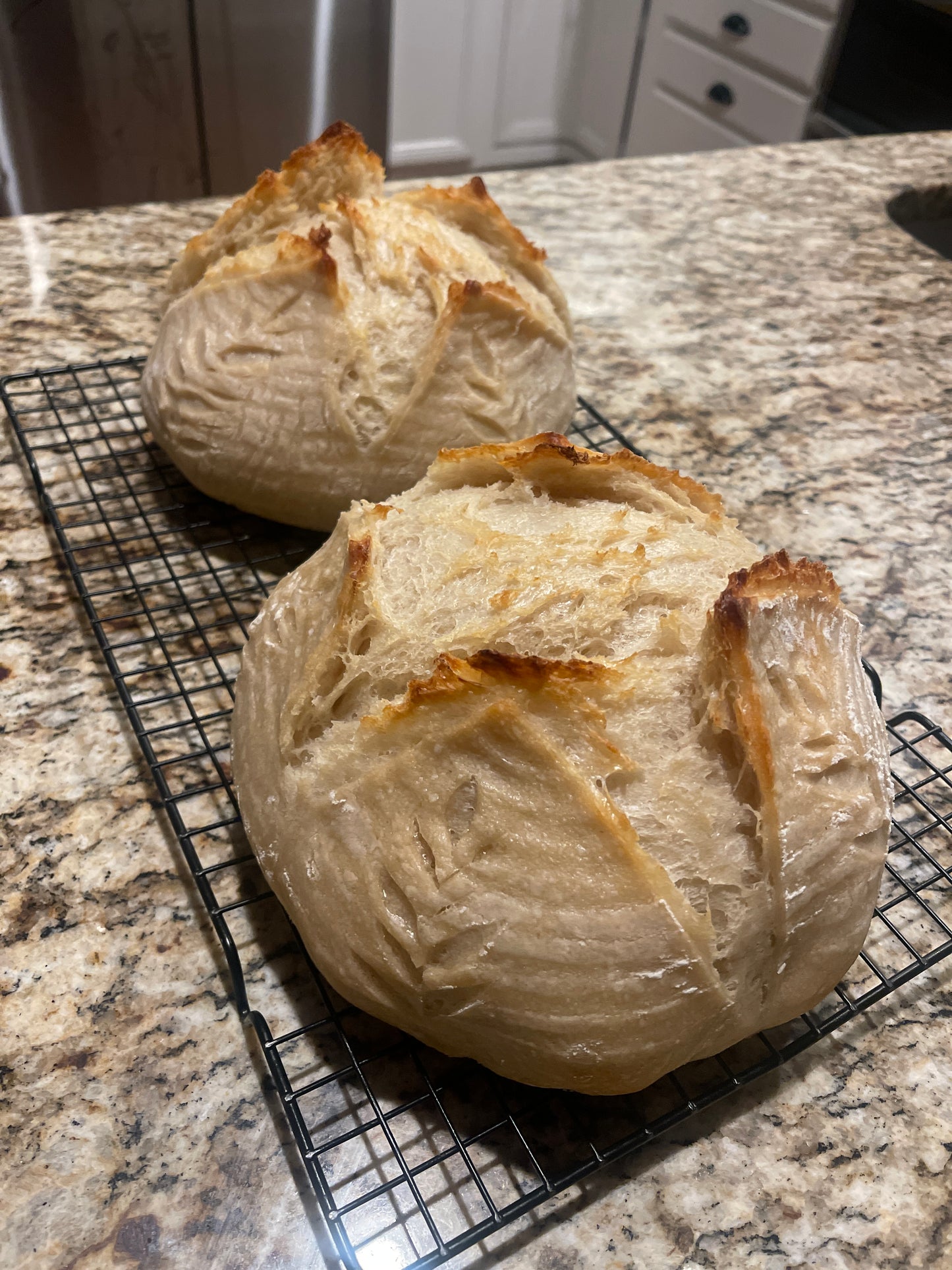 The Daily Sourdough Bread