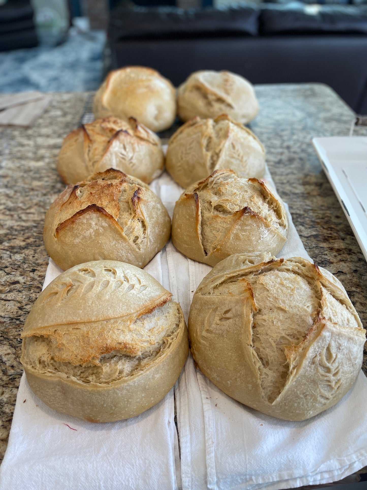 The Daily Sourdough Bread