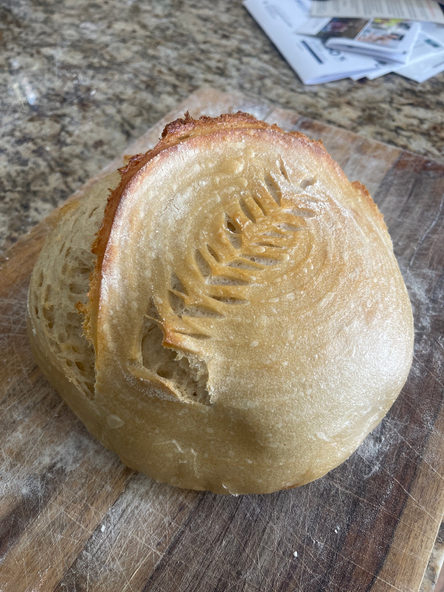The Daily Sourdough Bread